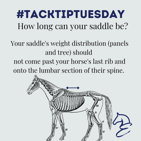 Tack Tip Tuesday Saddle Length