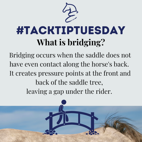Tack Tip Tuesday Saddle Bridging