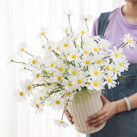 Birth Flowers April Month, Birth Flower for April