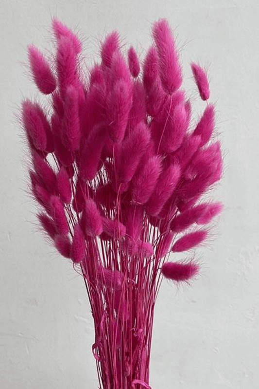 Bunny Tails Light Pink – The Fluffy corner