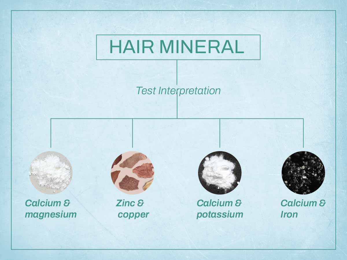 Hair Mineral Analysis Test Interpretation