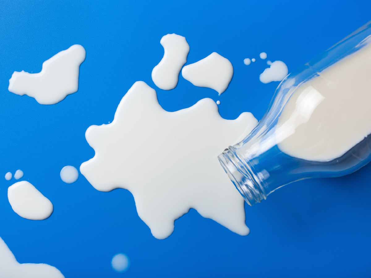 Foods That Cause Lactose Intolerance