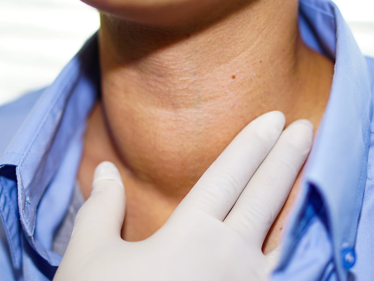Understanding the Thyroid Gland