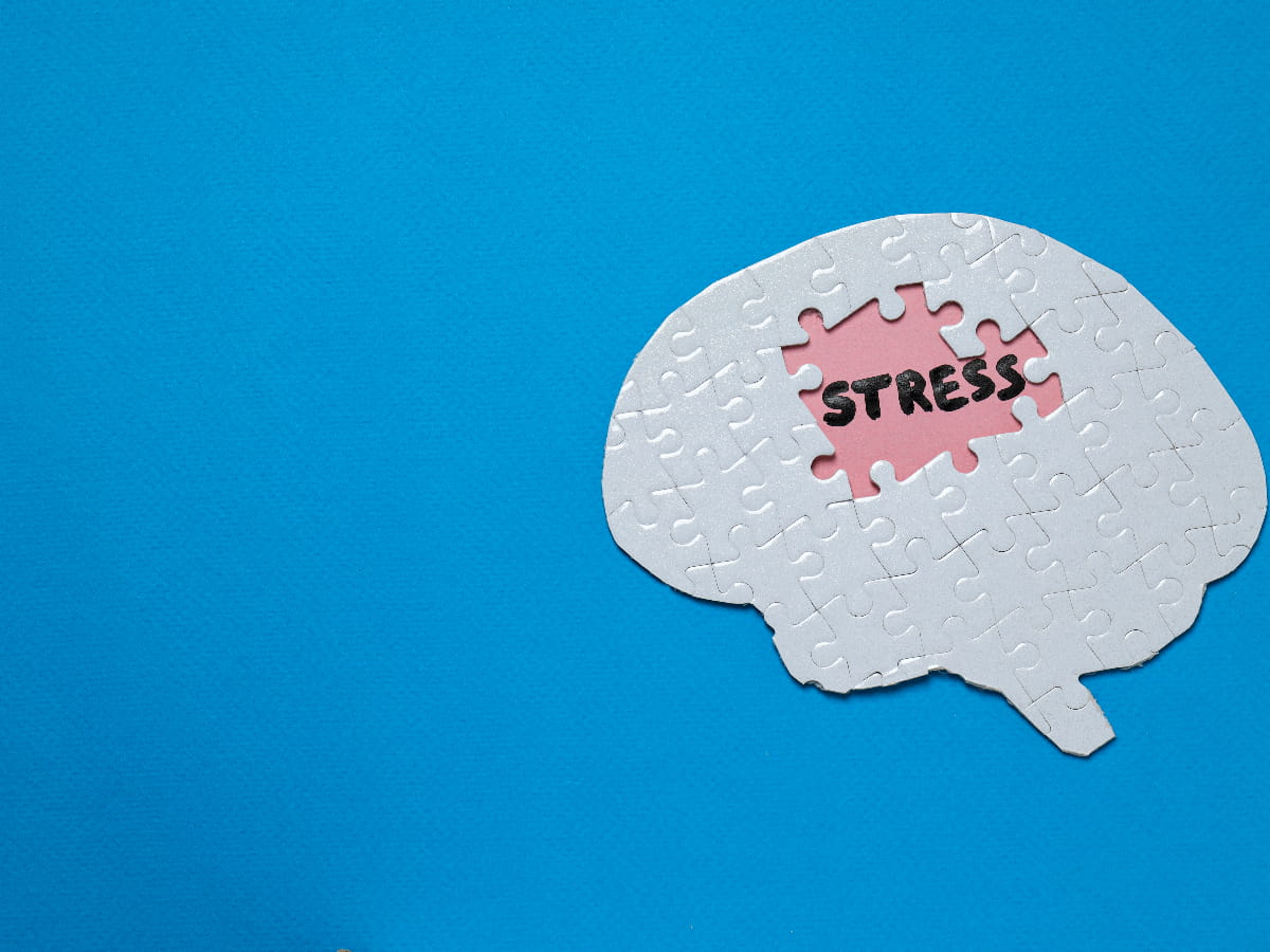 cognitive enhancement to stress reduction