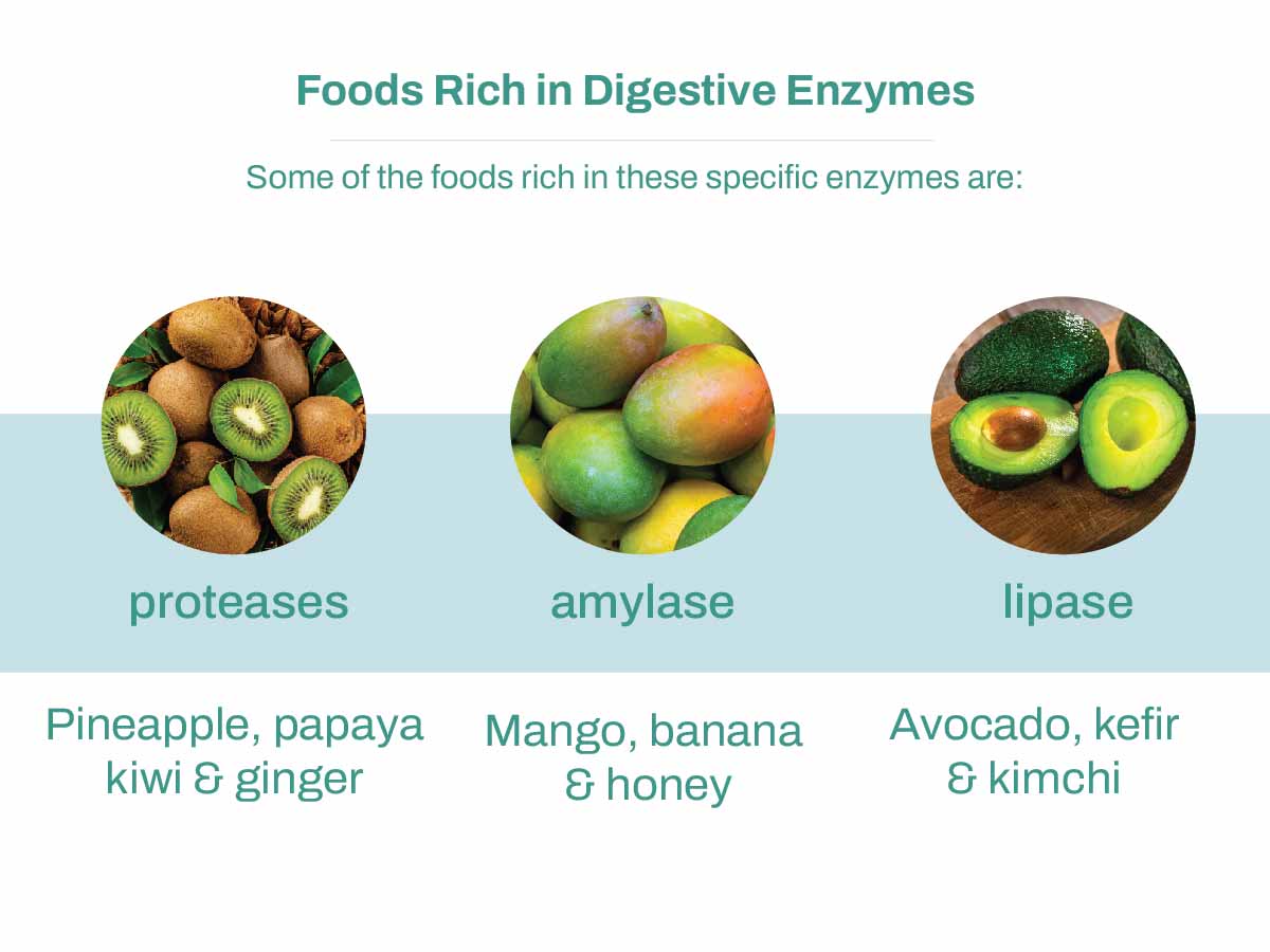 foods rich in digestive enzymes
