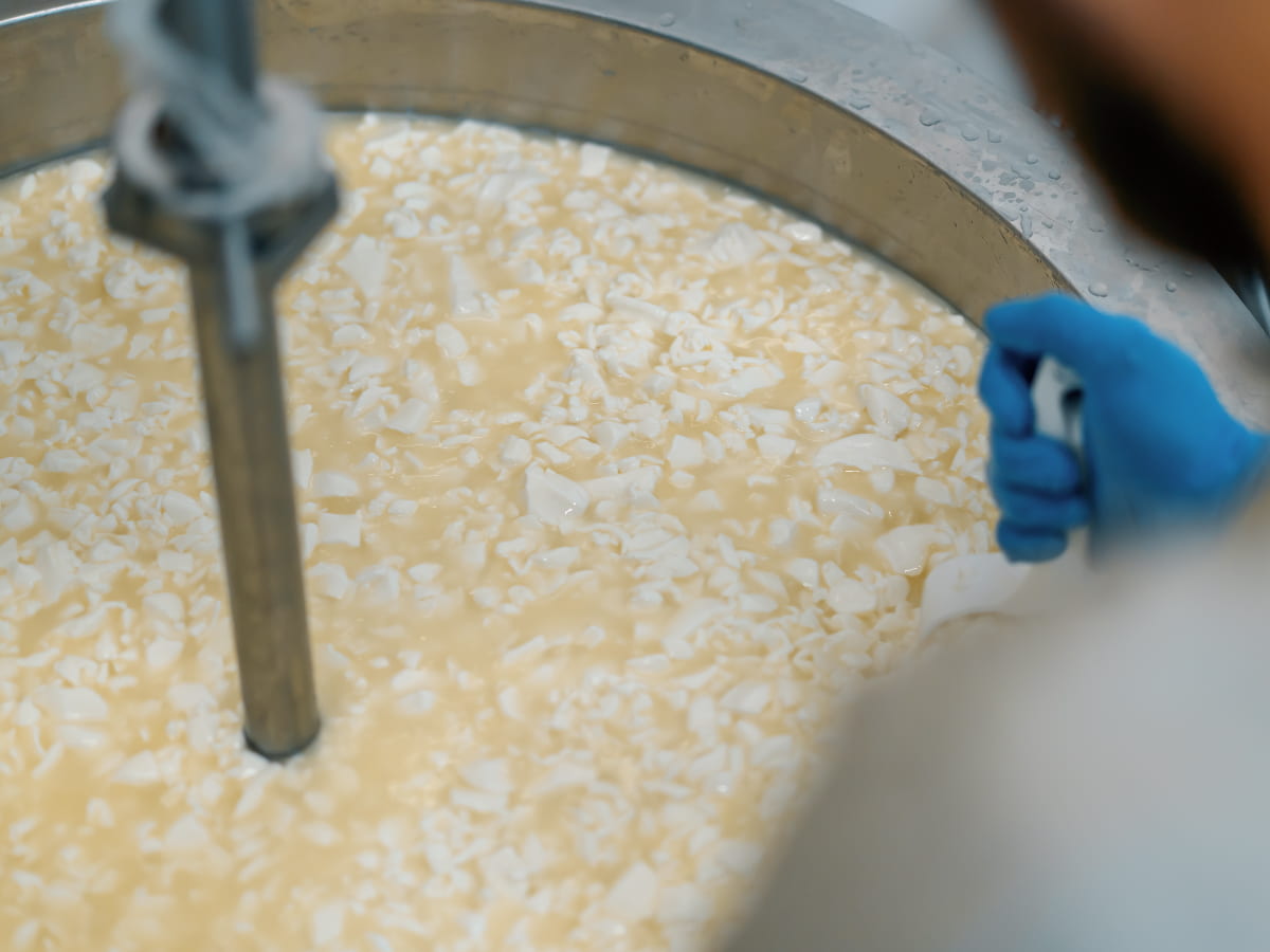 whey protein, derived from milk during the cheese-making process