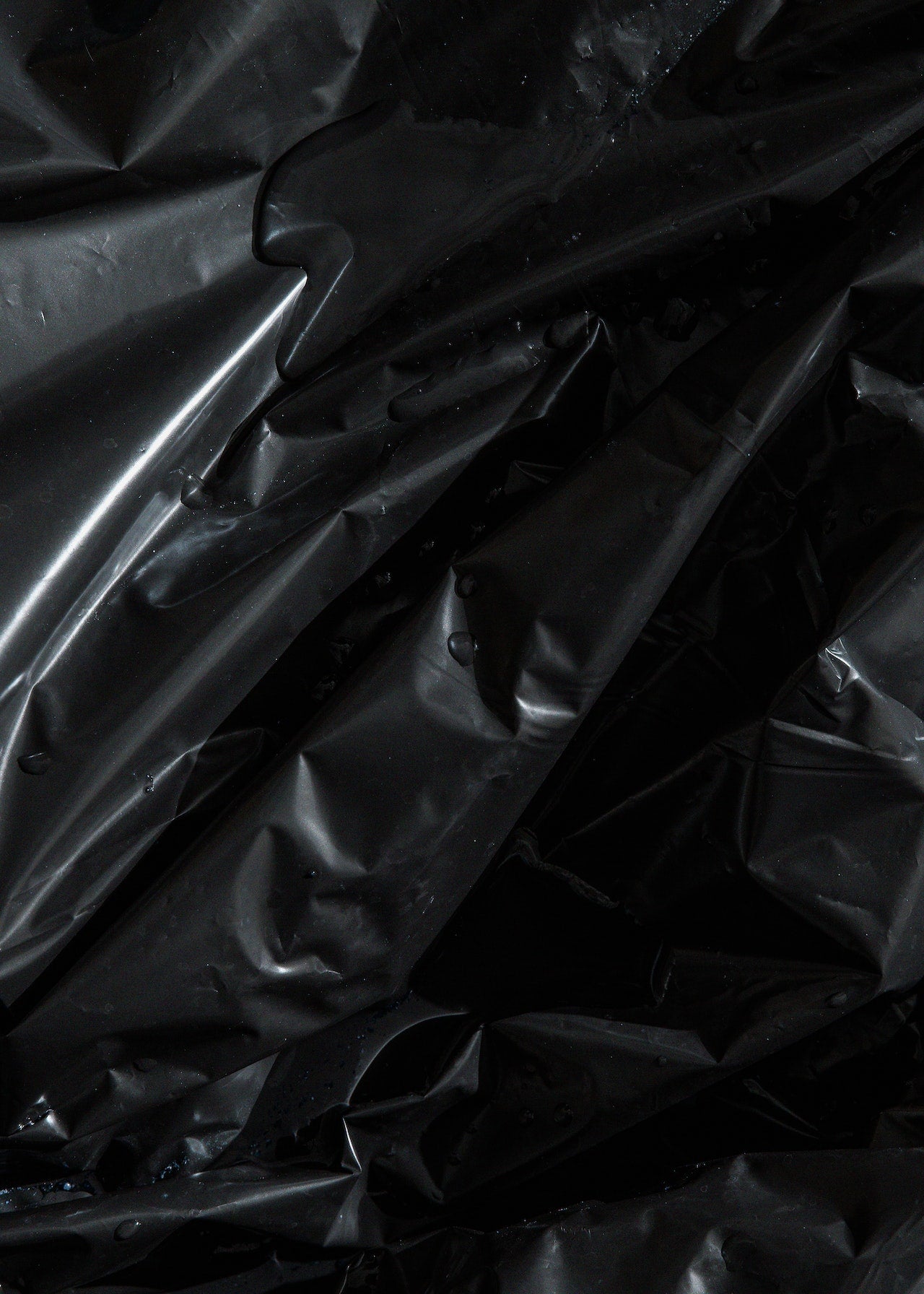 The Benefits And Uses Of Black Plastic Sheets In 2023 Trash Rite   Pexels Harry Cooke 6194972 8387a0dc D97d 42ce 89cb 892fff555fef 