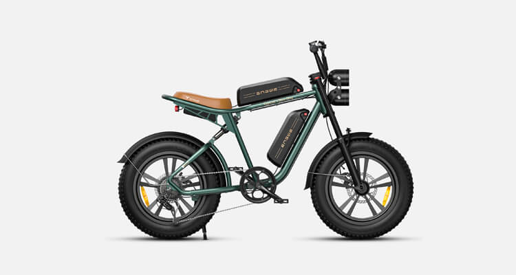 the best electric hybrid bike - dual-battery engwe m20