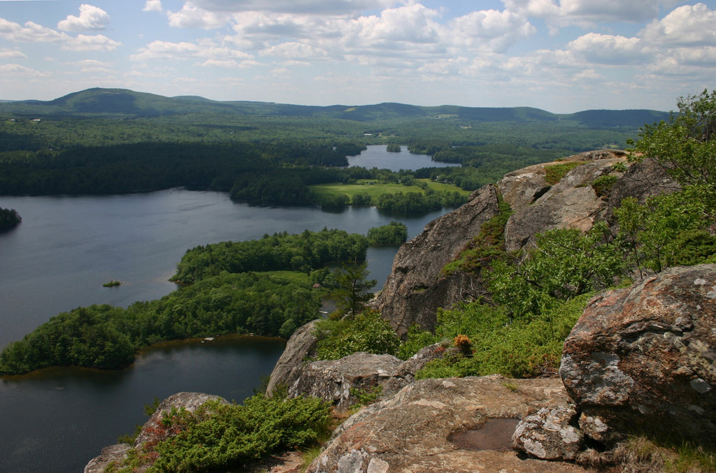 View from Barrett's Cove