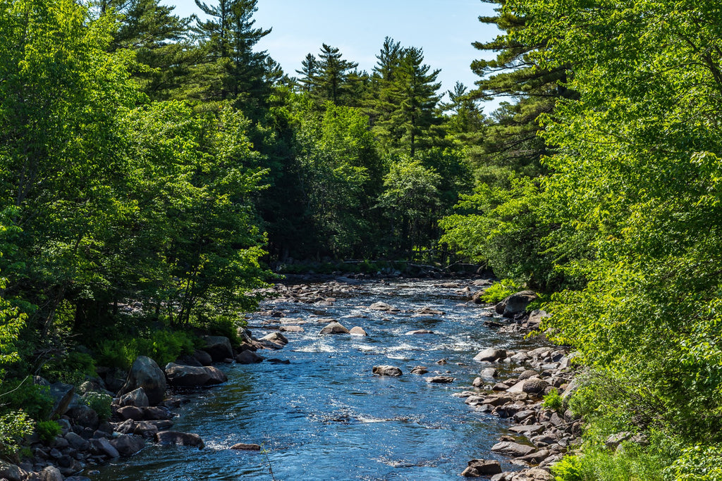 Ducktrap River