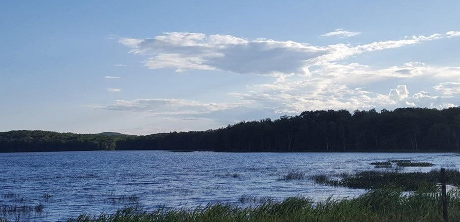 Grassy Pond