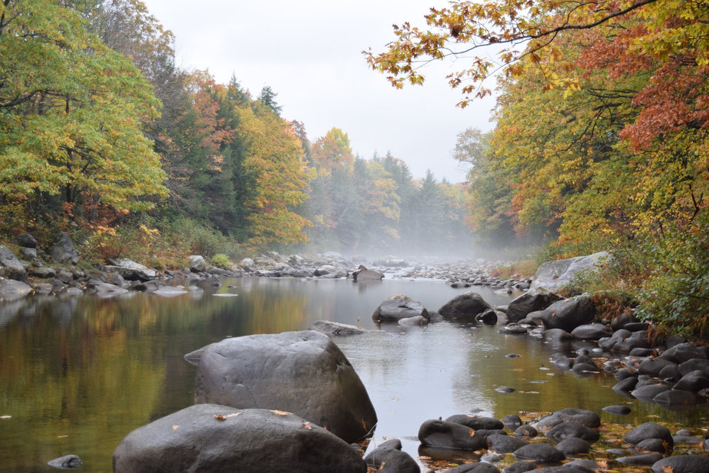 St. George River Freshwater