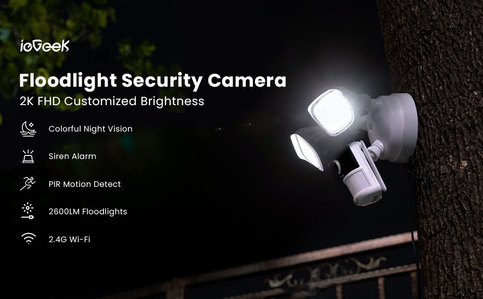 ieGeek IE20: Floodlight PTZ Camera  Ip camera design, Cctv camera, Ptz  camera