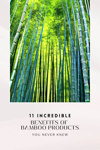cover image for 11 Incredible Benefits of Bamboo Products You Never Knew