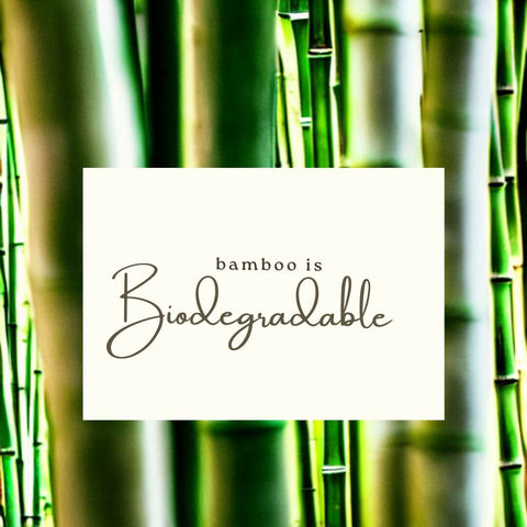 concept art for bamboo is degradable