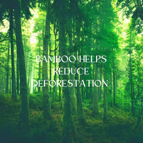 bamboo helps reduce deforestation