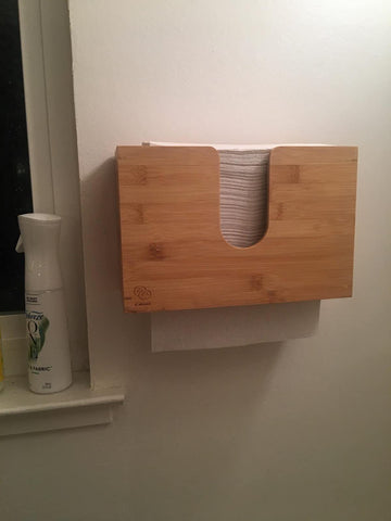 paper towel dispenser in the laundry room