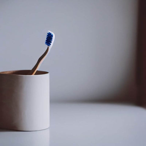 toothbrush holder