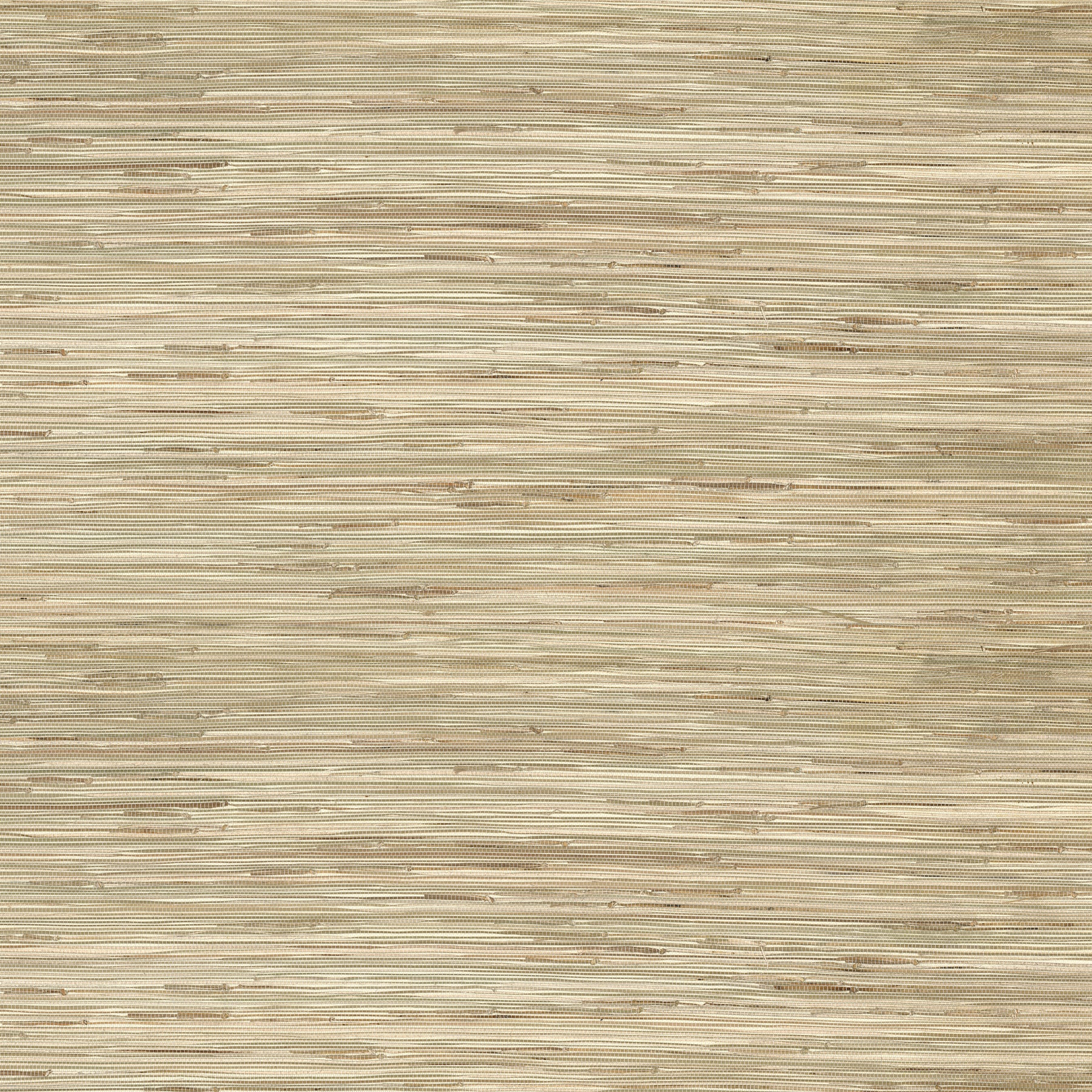 Sogen Neutral Knotted Grasscloth Wallpaper - York Wallcoverings product image