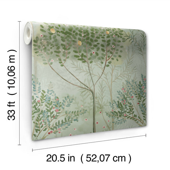 Orchard Wallpaper – York Wallcoverings