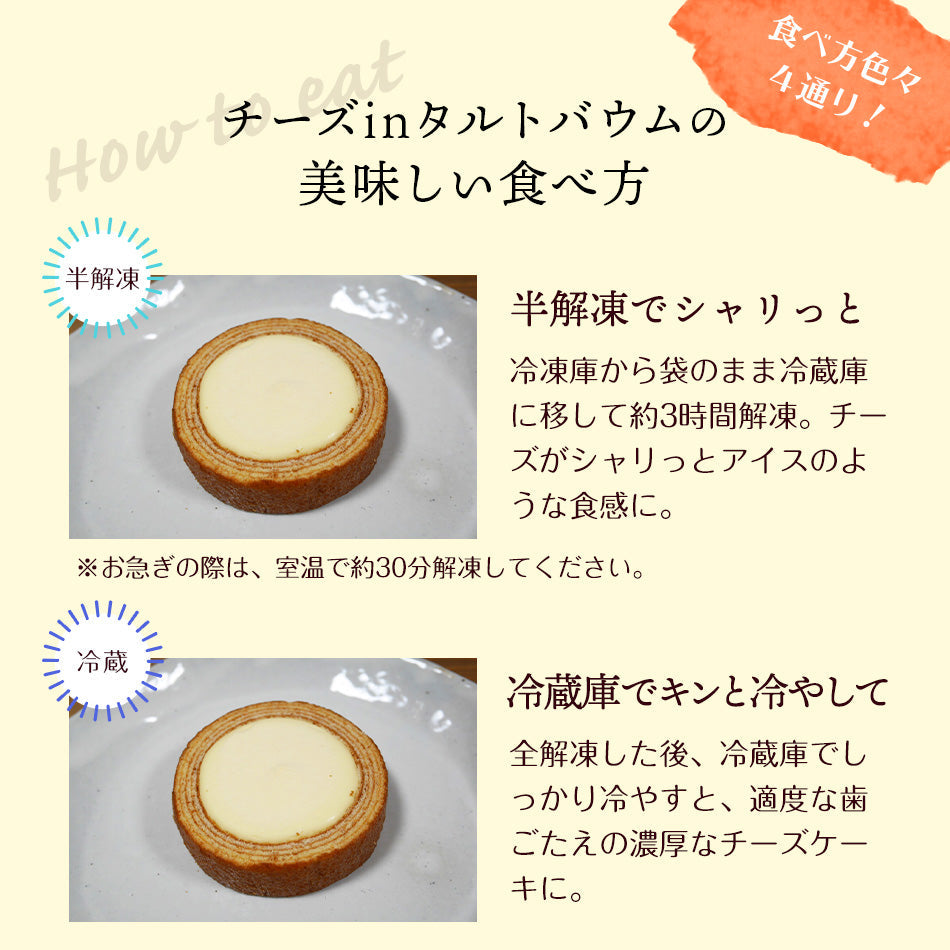 合計４個】プレーン チョコ チョコ 抹茶 トレーニング/エクササイズ