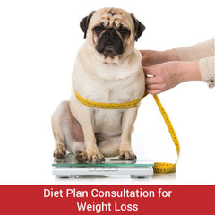 Diet Plan Consultation for Weight Loss