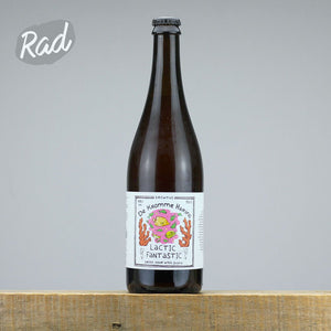 De Kromme Haring Lactic Fantastic Guava - Radbeer