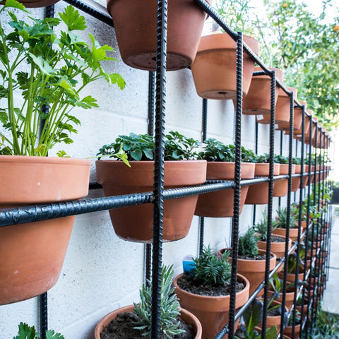 Comment créer un jardin de pots ?