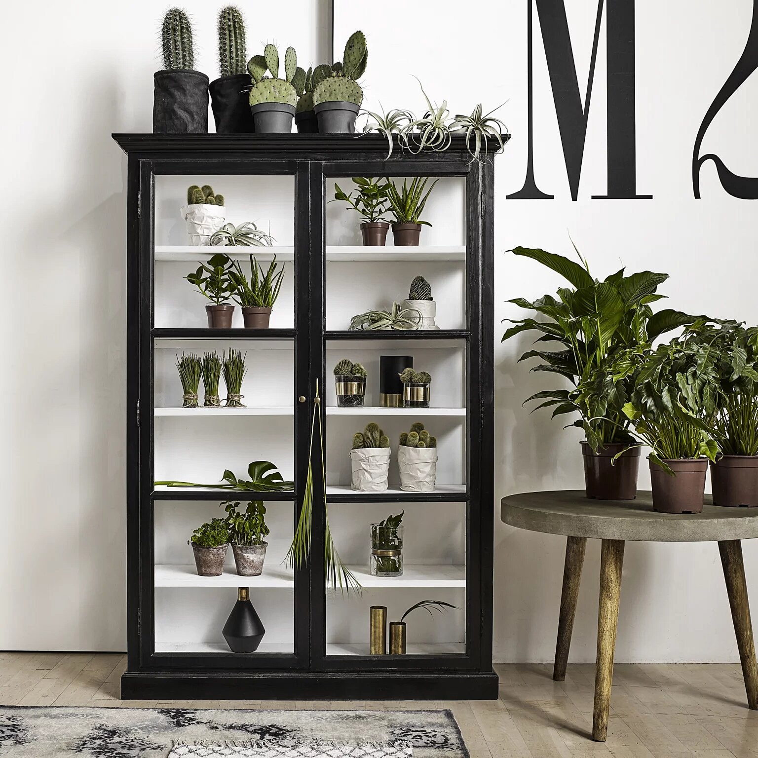 Armoire vitrée plantes végétales