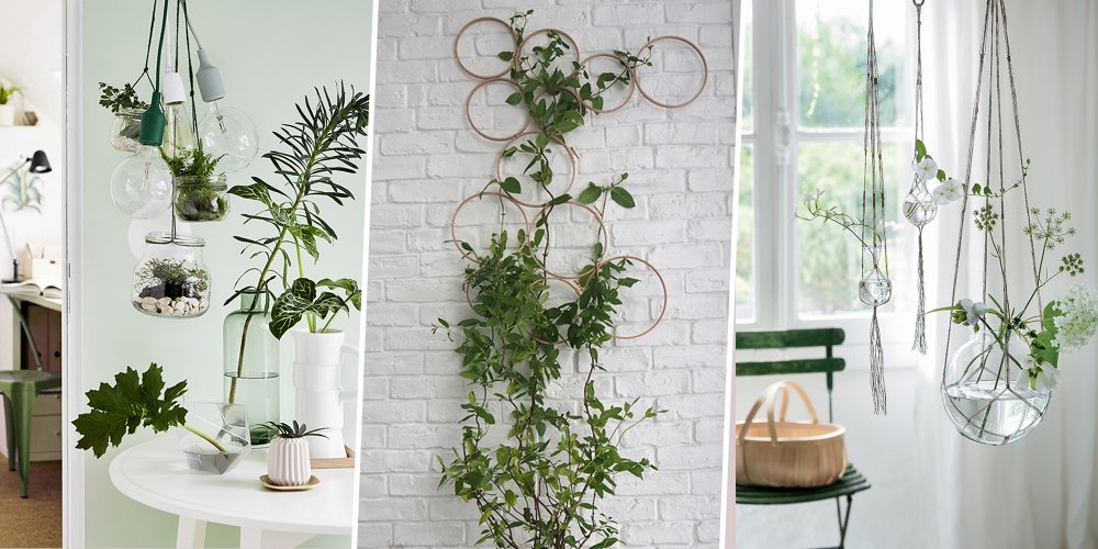 suspension vegetale mur
