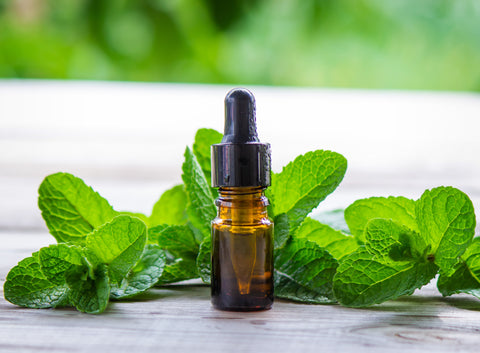 Mint Essential Oil with Mint Leaves