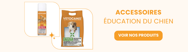 accessoires education chien