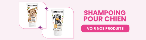 shampoing pour chien