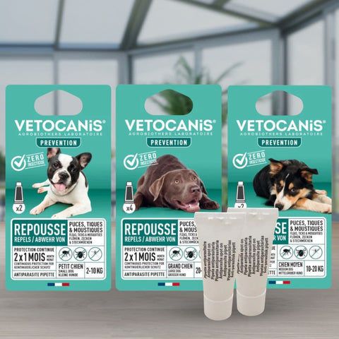 Traitements anti-puce et anti-tique pour chien - Anti-parasitaires  efficaces pour chien