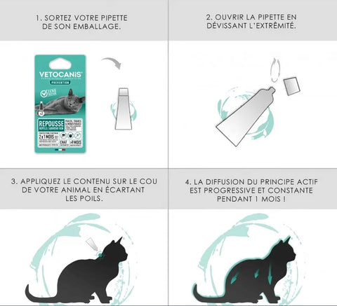 comment appliquer pipette anti puce chat