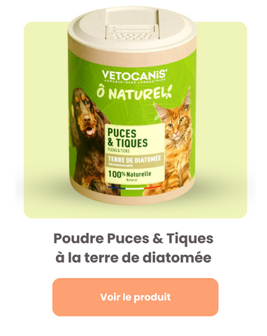 poudre terre diatomée chat