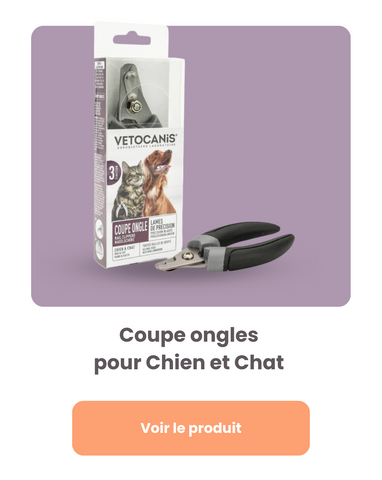 coupe ongles chat