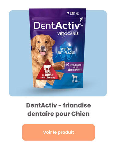friandises dentactiv pour chien