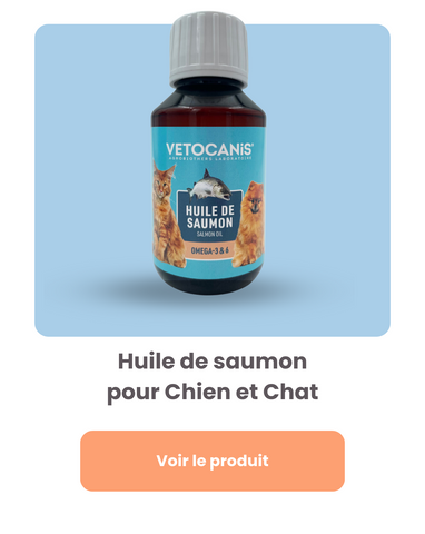 L'huile de saumon pour chien : bienfaits, quantité, conseils