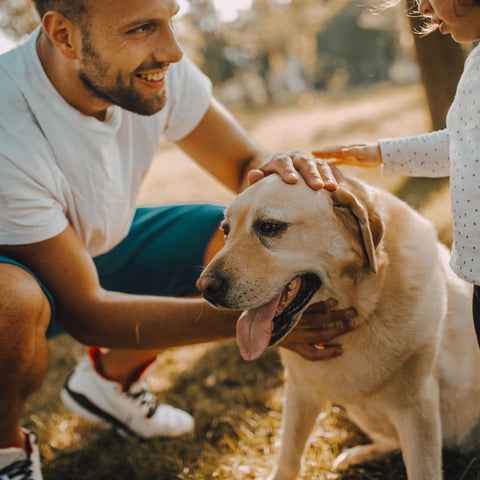 protégez votre animal de compagnie avec une formule d'assurance Solly Azar