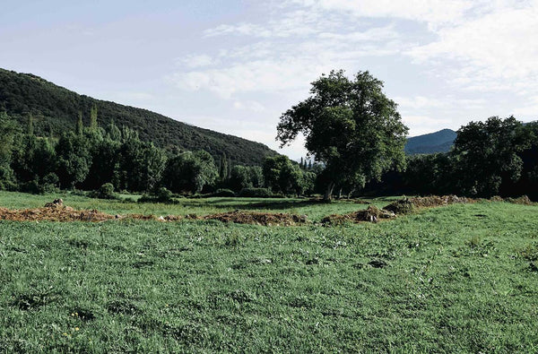 Atelier Serraspina, empty fields near La Pobleta de Bellveí (Catalonia)