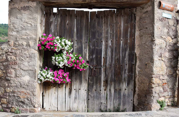 Atelier Serraspina, flowers, stones, and old wood in La Pobleta de Bellveí (Catalonia)