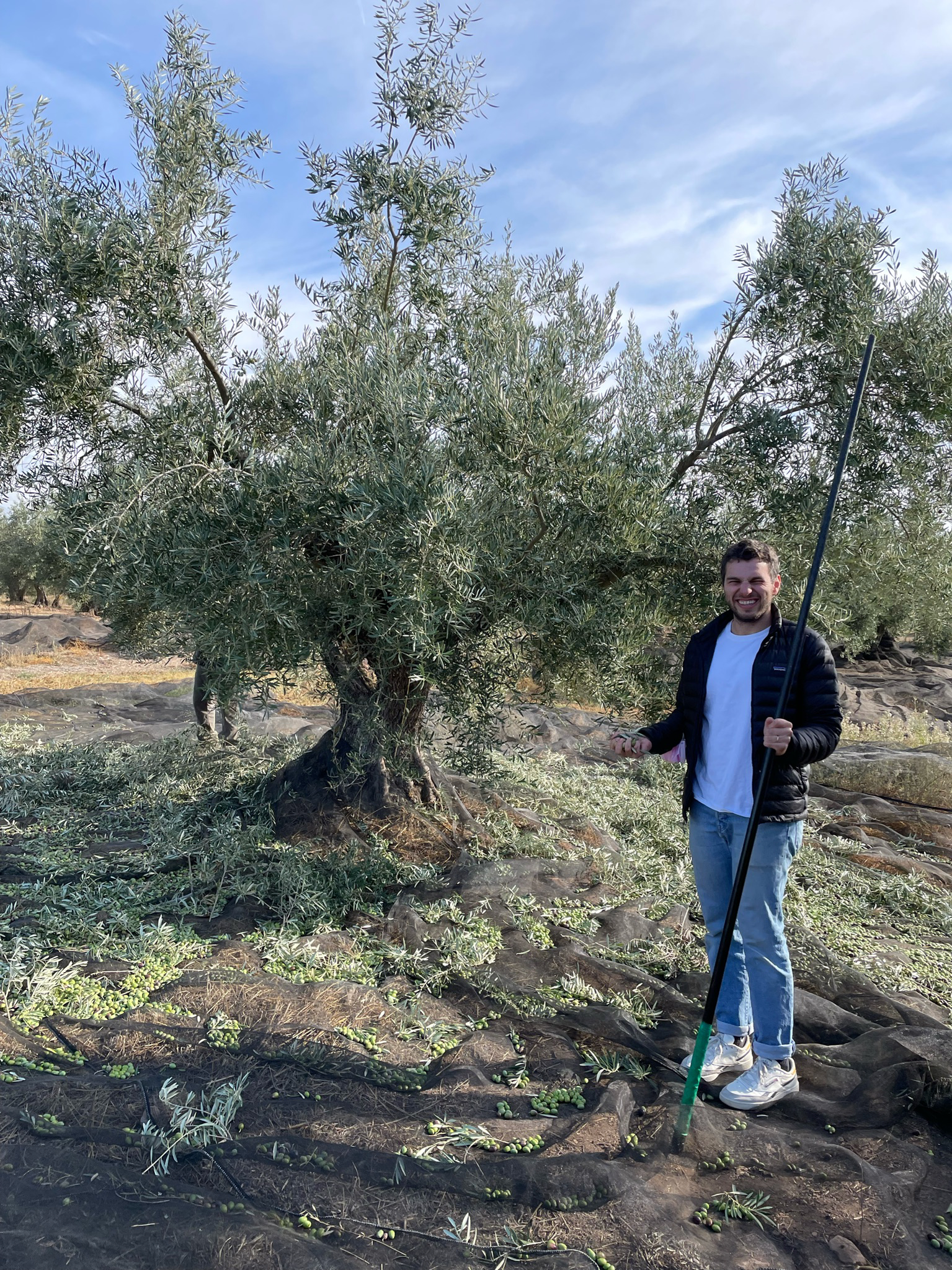 Man standing next to olive tree