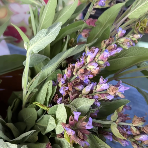 Lavender and herbs