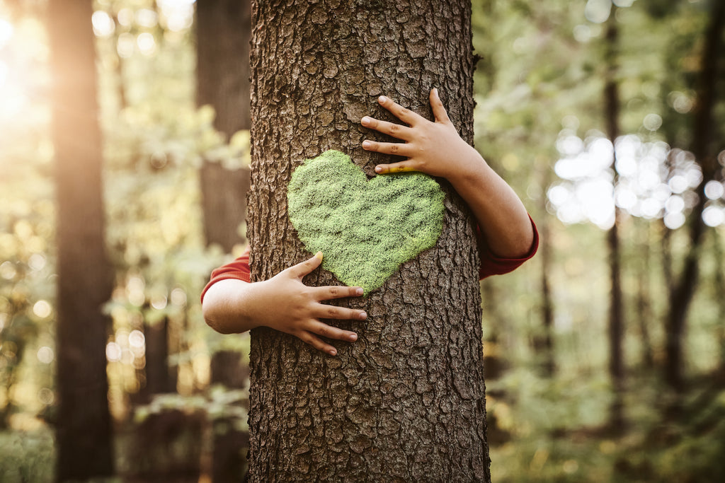 Hugging a tree