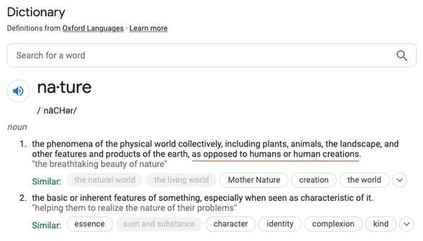 Google nature definition
