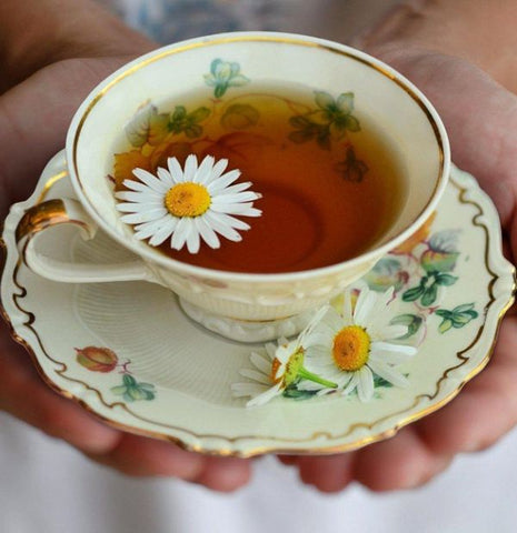 Old Medicine Herbal Tea - Ameo Life