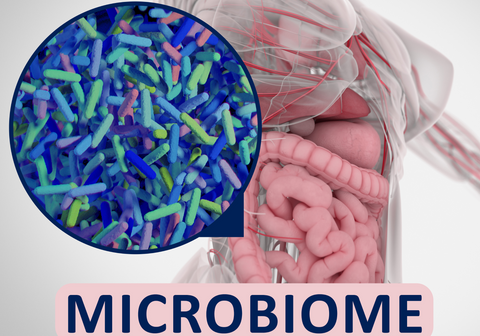 Microbiome: How it works