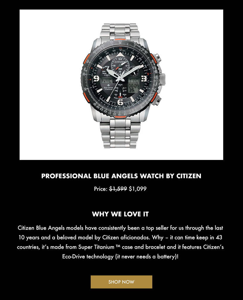 PROFESSIONAL BLUE ANGELS WATCH by CITIZEN