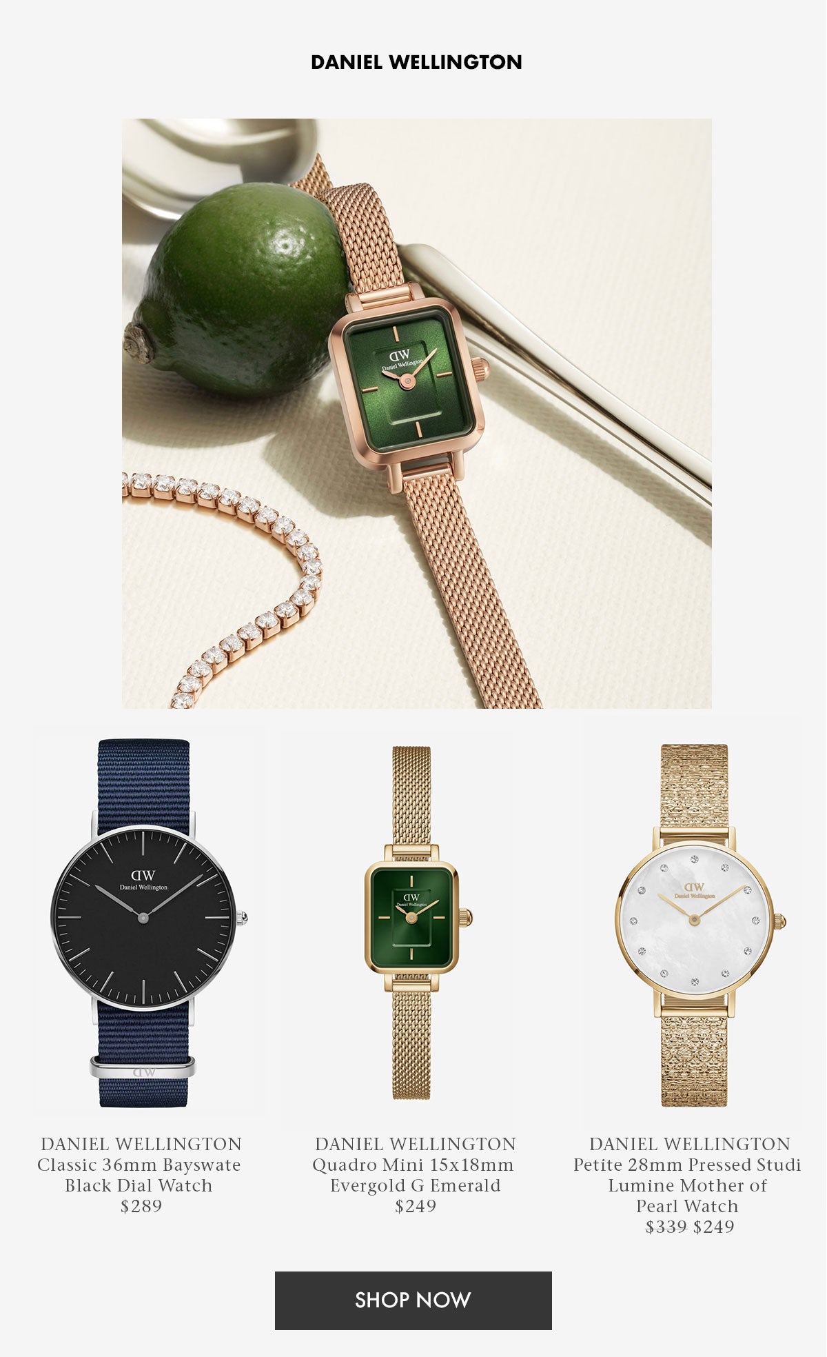New from Daniel Wellington Watches